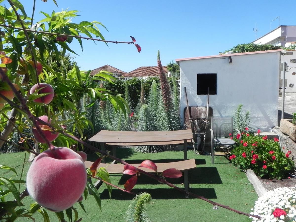 阿德耶Casa Irma, Great Sea And Mountains Views, Rural House别墅 外观 照片